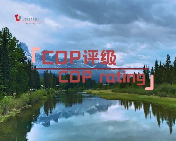 CDP评级