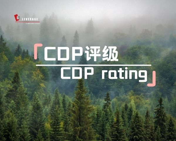 CDP评级