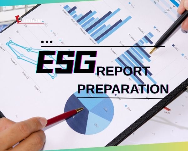 ESG Report Preparation and Rating Improvement
