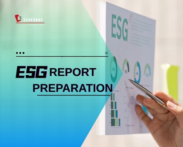 ESG Report Preparation and Rating Improvement