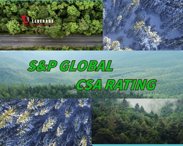S&P Global CSA rating