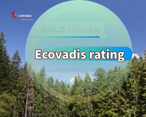 Ecovadis rating