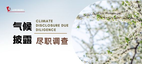 气候披露尽职调查