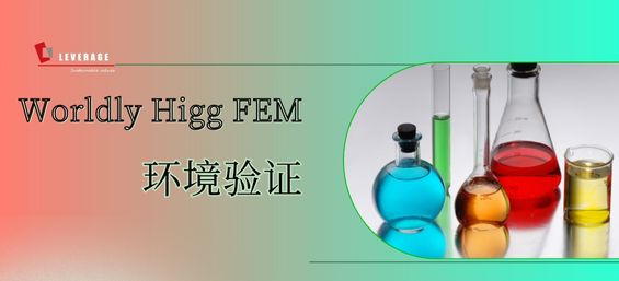 Wordly Higg FEM 环境验证