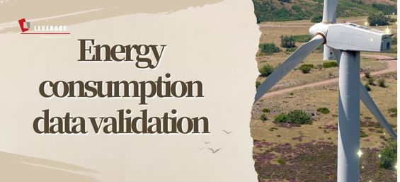 Energy consumption data verification