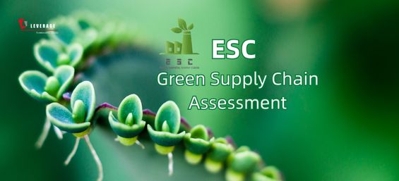 ESC Green Supply Chain Assessment