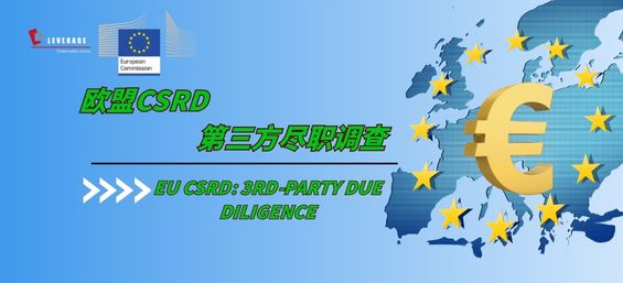 欧盟CSDDD尽调咨询