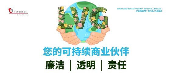 莱巍爵宣传手册
