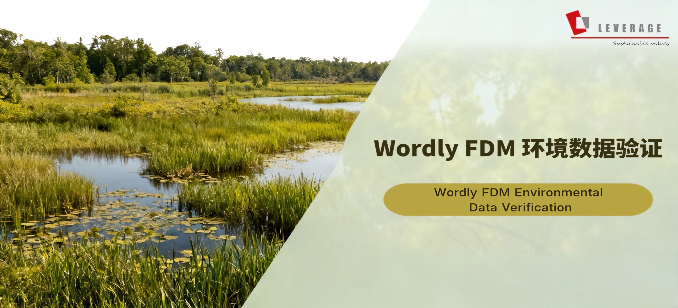 Wordly FDM 环境数据验证